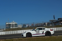 BRfoto-RCN8-350-1