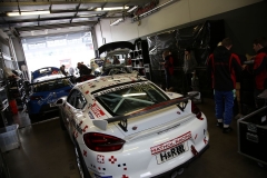 20190413-1563-VLN02